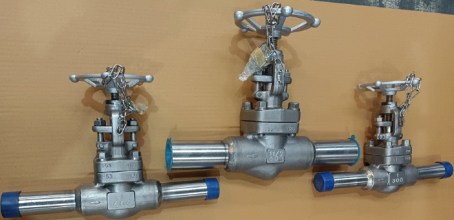 API 602 hard-faced globe valves, S32750