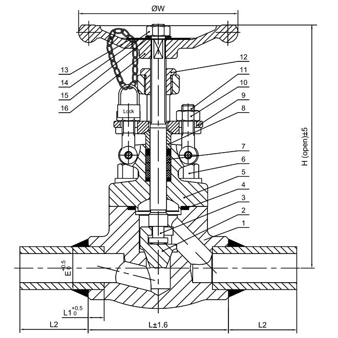 Drawing of API 602 globe valve 600LB